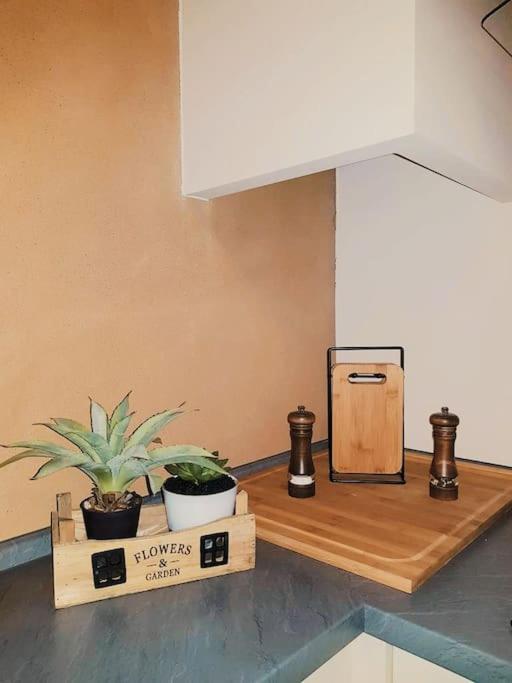 Apartament Komfortables Im Zentrum Erfurts