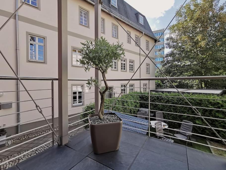 Komfortables Im Zentrum Erfurts Apartment Erfurt