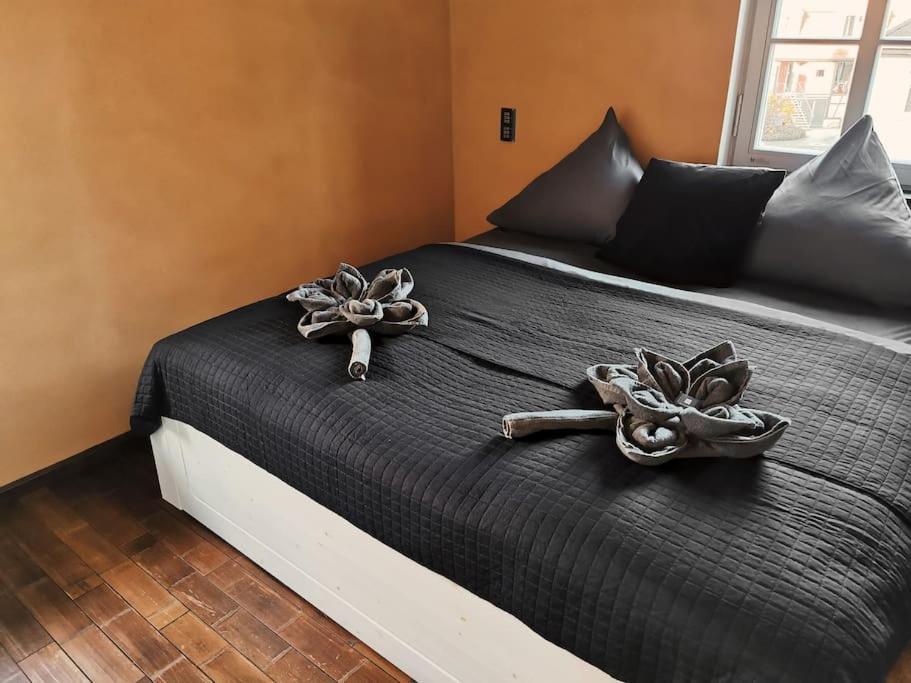 Komfortables Im Zentrum Erfurts Apartament *